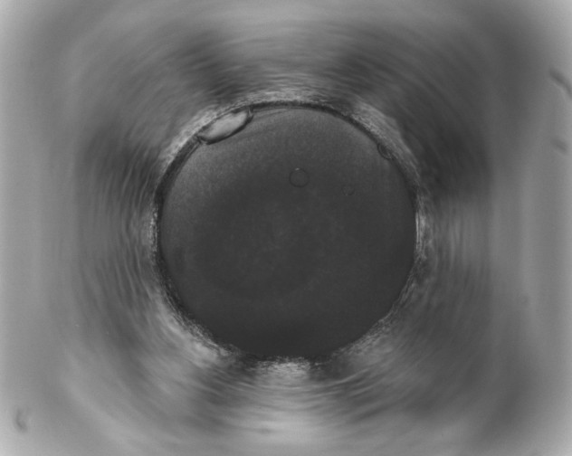 X0000102240156200808151801