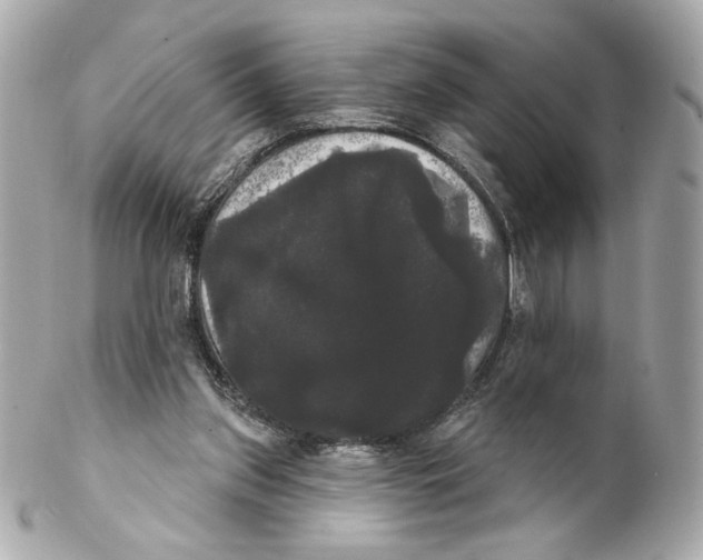 X0000102240157200808151801