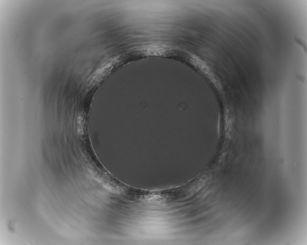 X0000102240161200808151802