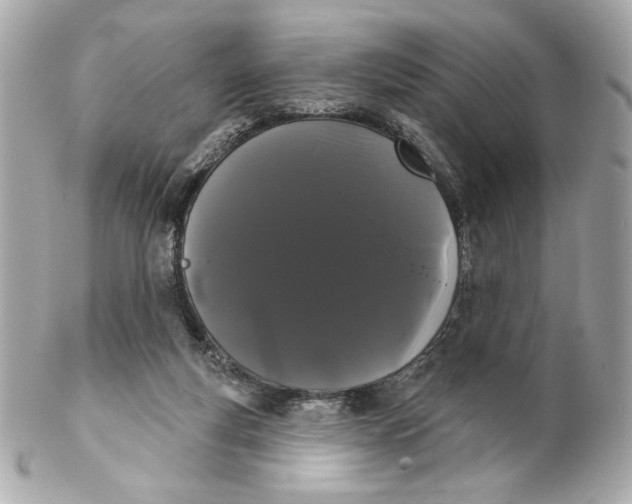 X0000102240163200808151802