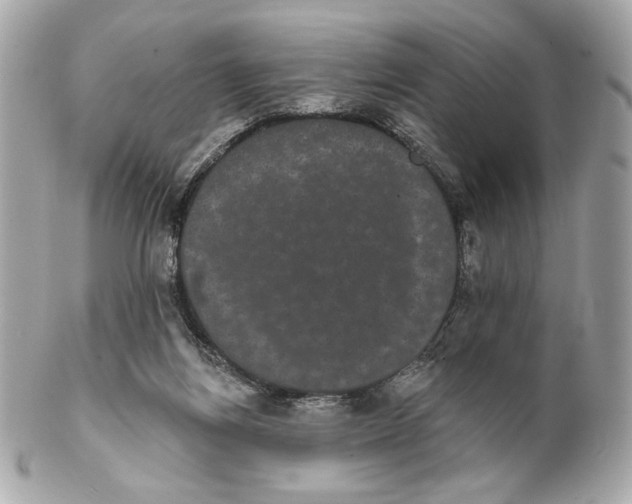 X0000102240164200808151802