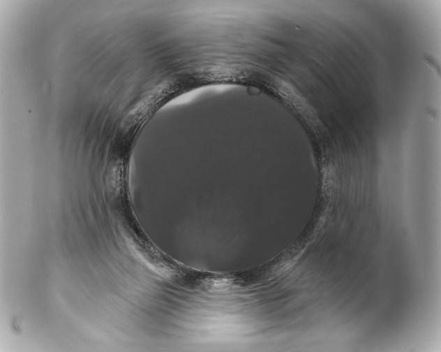 X0000102240165200808151802