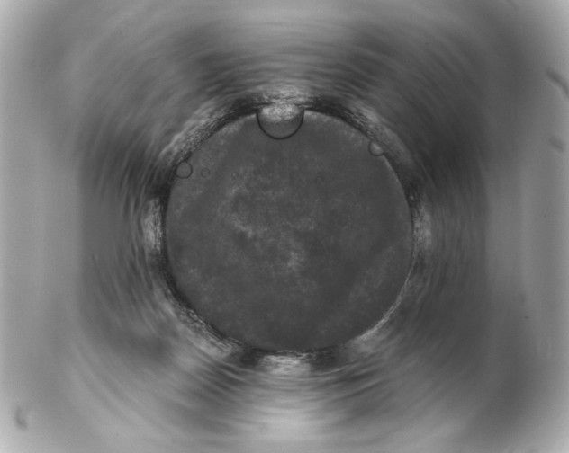 X0000102240170200808151802