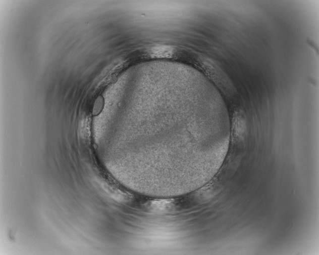 X0000102240172200808151802