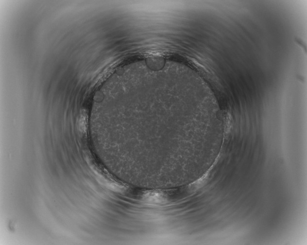 X0000102240174200808151802