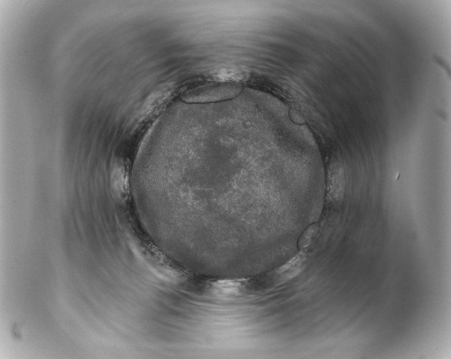 X0000102240176200808151802