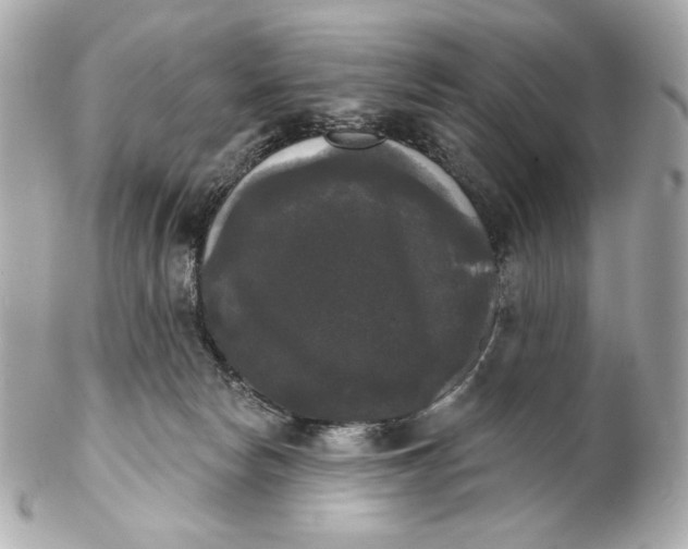 X0000102240178200808151802