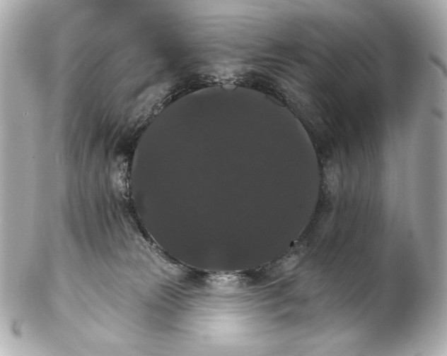 X0000102240181200808151802