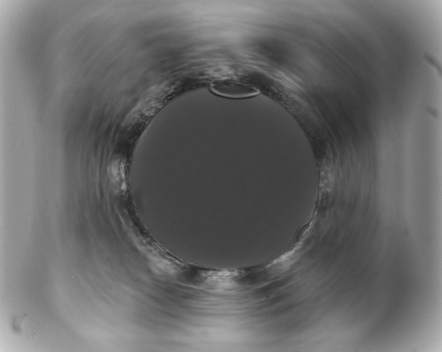 X0000102240182200808151802