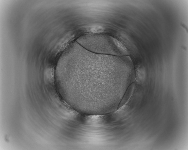 X0000102240184200808151802