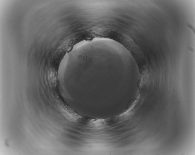 X0000102240186200808151802