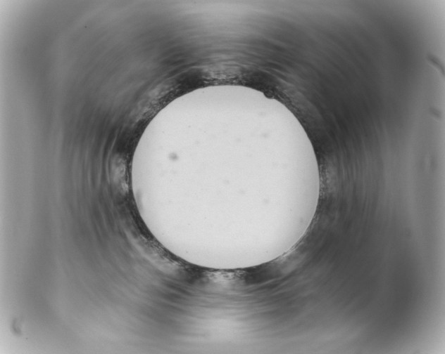 X0000102240187200808151802