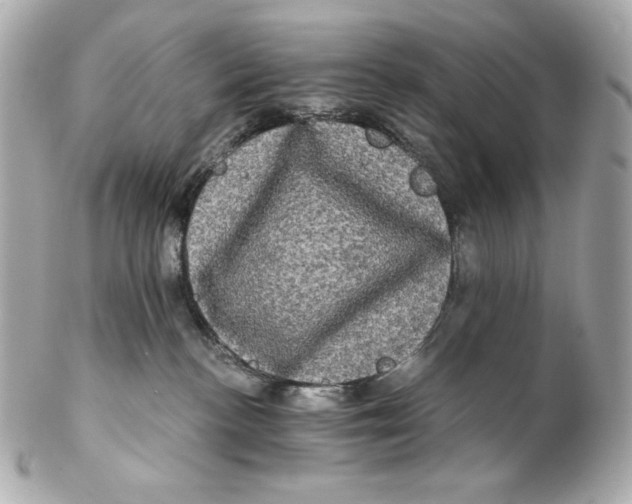 X0000102240188200808151802