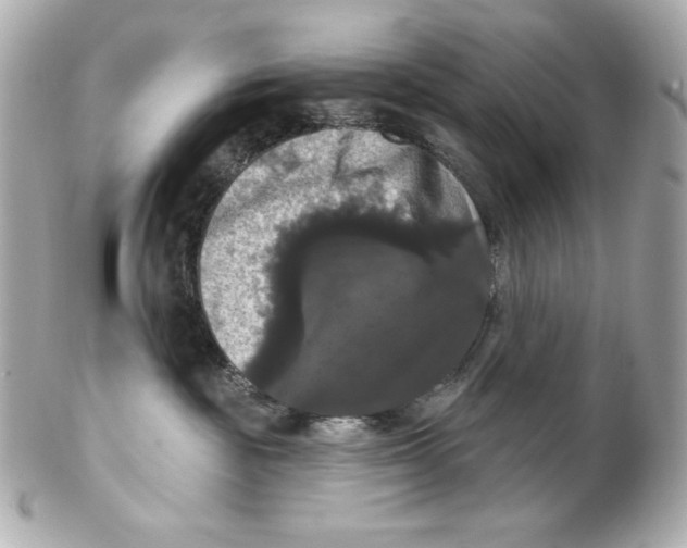 X0000102240189200808151802