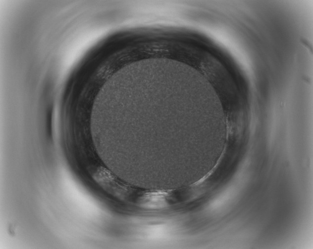 X0000102240190200808151802