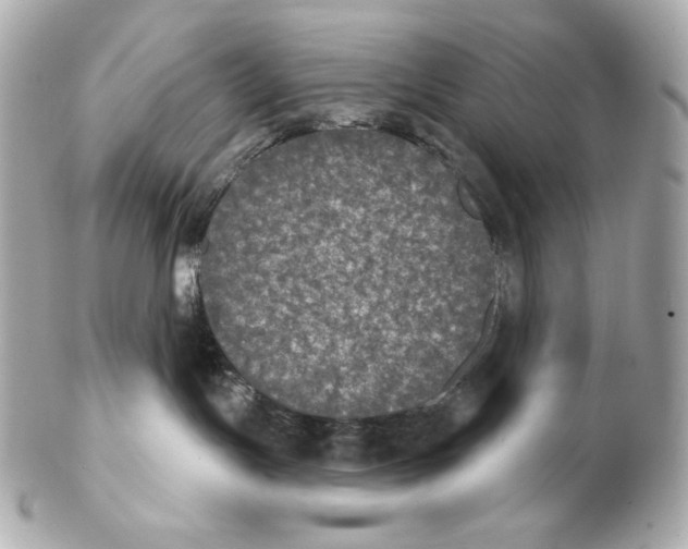 X0000102240191200808151802