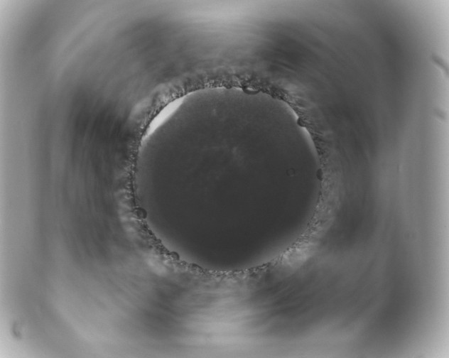 X0000102240192200808151802