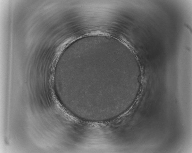 X0000102240193200808151801