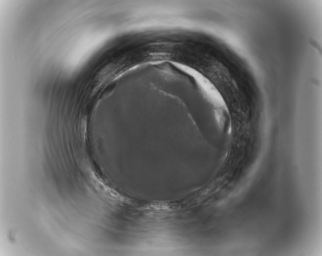 X0000102240194200808151801