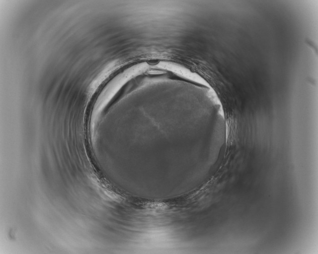 X0000102240195200808151801