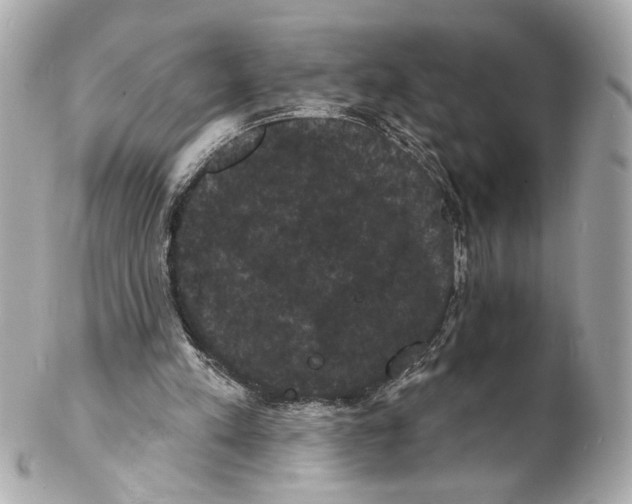 X0000102240197200808151801