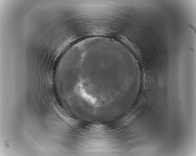 X0000102240203200808151801