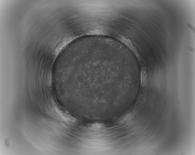 X0000102240204200808151801