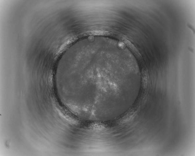 X0000102240207200808151801