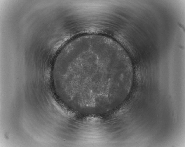 X0000102240208200808151801