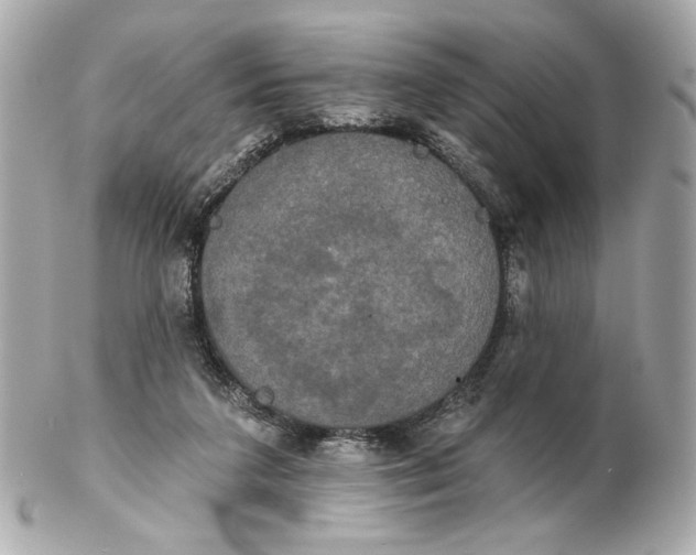 X0000102240211200808151801