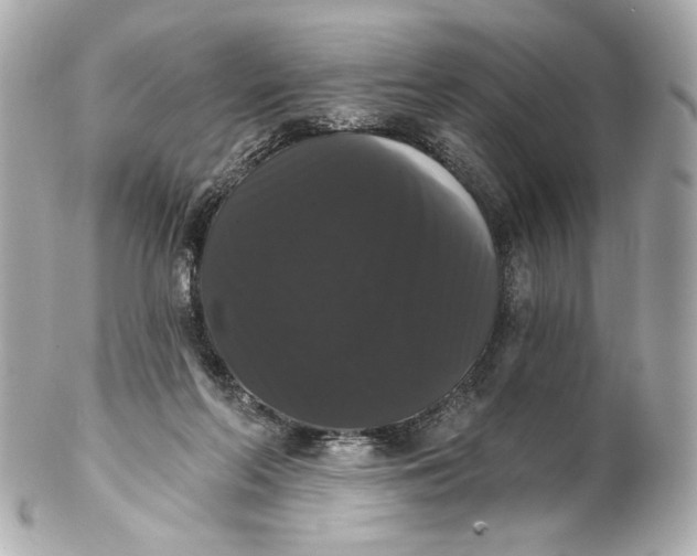 X0000102240214200808151801