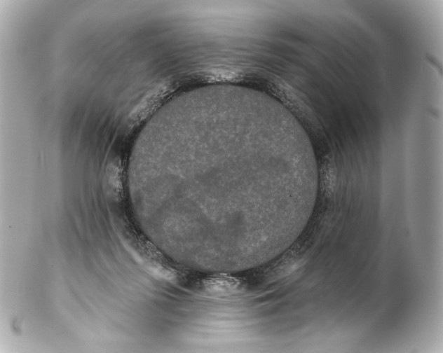 X0000102240215200808151801