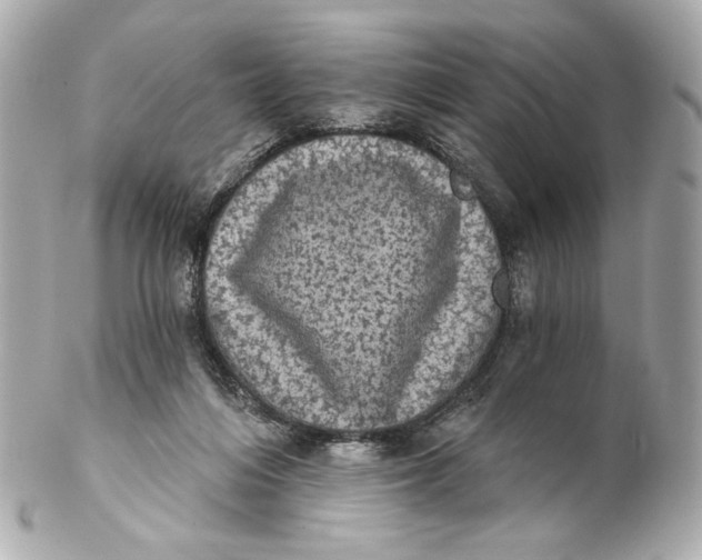 X0000102240216200808151801