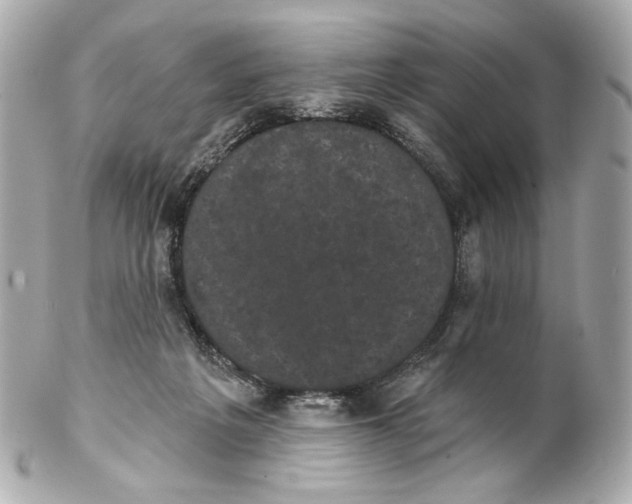 X0000102240217200808151801