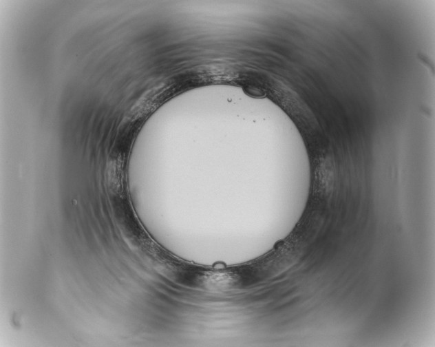 X0000102240218200808151801