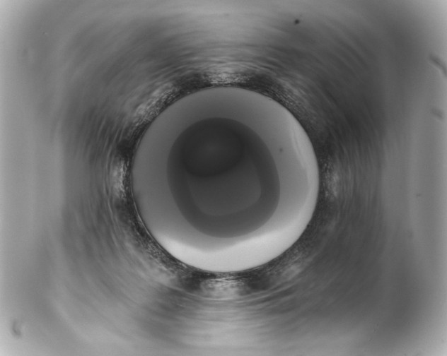 X0000102240219200808151801