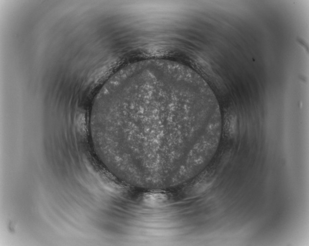 X0000102240220200808151801