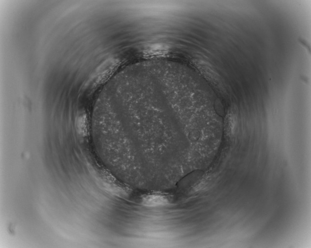 X0000102240224200808151801