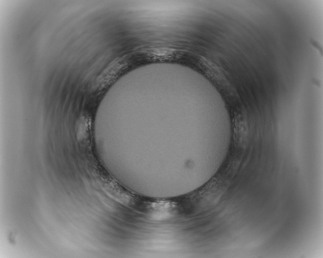 X0000102240225200808151801