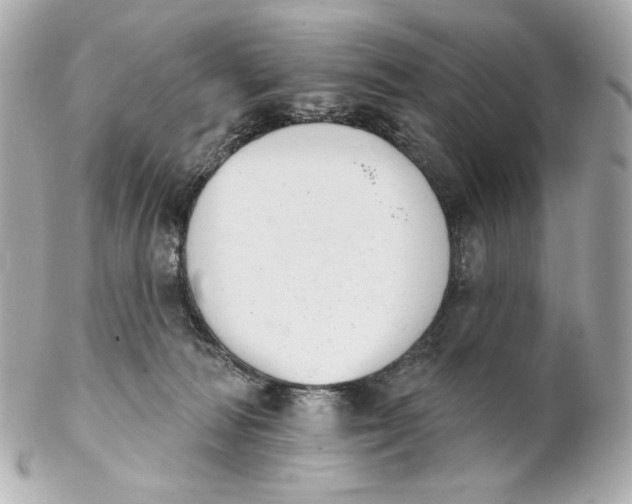 X0000102240226200808151801