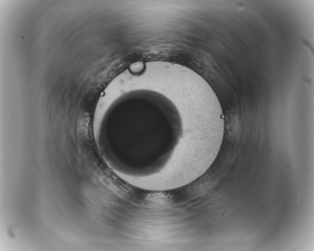 X0000102240231200808151801