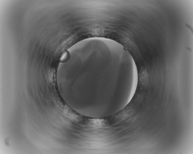 X0000102240233200808151801