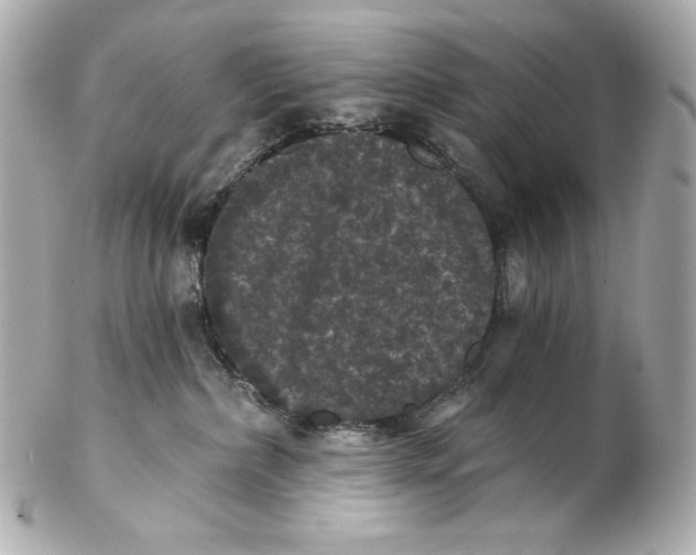 X0000102240236200808151801