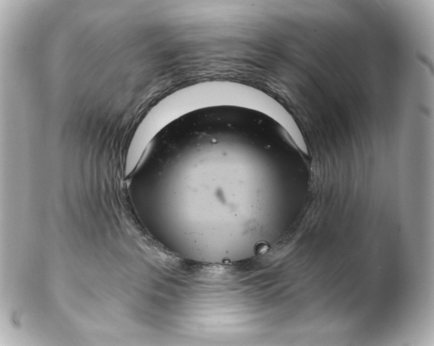 X0000102240237200808151801