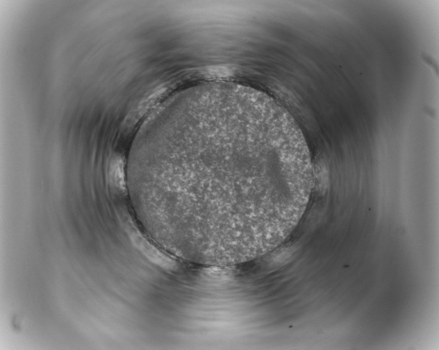 X0000102240238200808151801