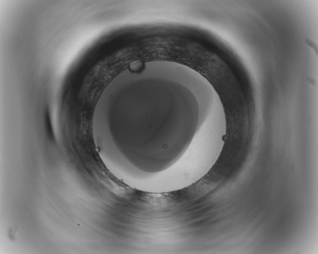 X0000102240239200808151801