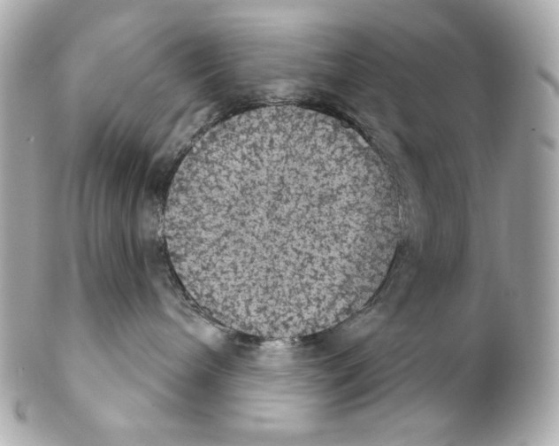 X0000102240240200808151801