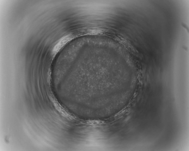 X0000102240242200808151800