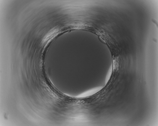 X0000102240243200808151800