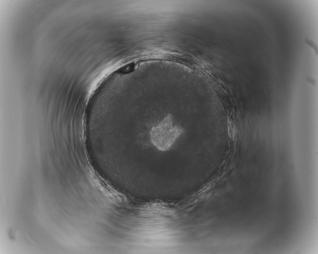 X0000102240244200808151800